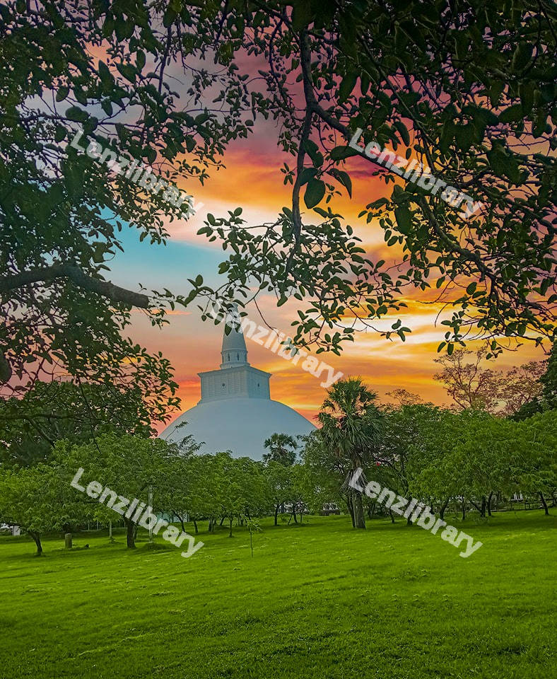 Anuradhapura roof